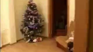 Potwierdź swoją pełnoletność