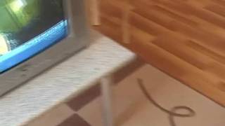 Młody kutas uwielbia jebać nastolatki