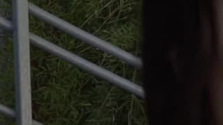 Potwierdź swoją pełnoletność