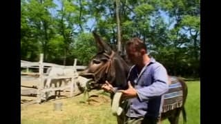 Laura Orsolya woli seks na świeżym powietrzu