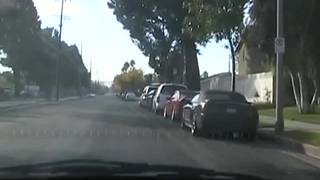 Lauren chętnie pokazuje swoją łechtaczkę