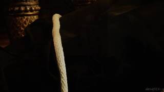 Aletta Ocean uwolniła z więzów kochanka