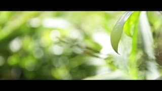 Potwierdź swoją pełnoletność