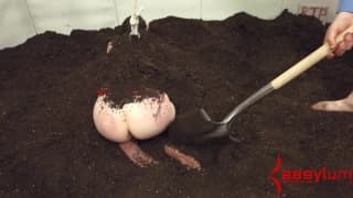 Związana ophelia dostaje klapsy w dupę Związana ophelia dostaje klapsy w dupę