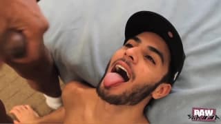 Wytatuowana para gejów uprawia seks