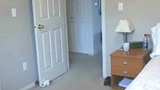 Blondyna zaczyna show od seksownego tańca