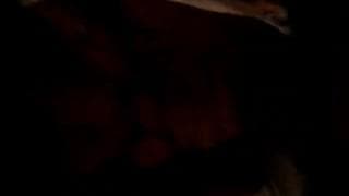 Świetne obciąganie chuja przed kamerą