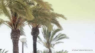 Erica Fontes w grupie z Tiffany Doll