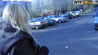 Laska zagadana a tramwaju robi loda