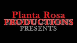 Wielkie murzyńskie kutasy ostro jebią!