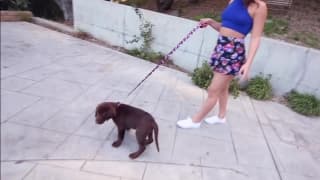 Chuj rośnie w ustach z każdym obciągnięciem