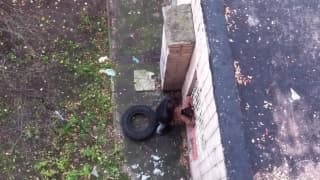 Napaleni amatorzy i seks na dworze