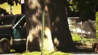 Antonio Biaggi penetruje dupę Luiss'a