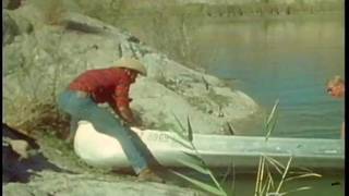 Ed Wiley kocha, jak mu obciągają chuja