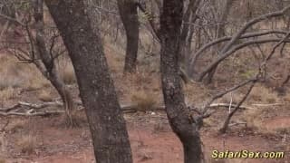 Potwierdź swoją pełnoletność