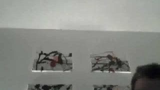 Potwierdź swoją pełnoletność