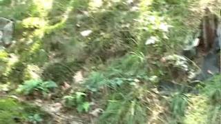 Martin i Matti obciągają z przyjacielem