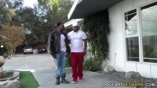 Potwierdź swoją pełnoletność