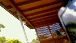 Brunetka ma dla nas bardzo gorącą dupę!