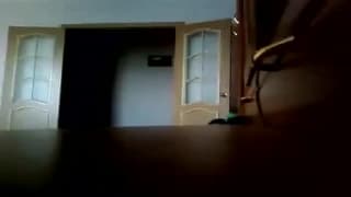 Potwierdź swoją pełnoletność