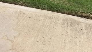 Potwierdź swoją pełnoletność