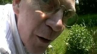 Młoda blondynka i seks ze starym facetem w lesie