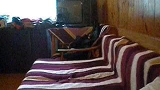 Potwierdź swoją pełnoletność