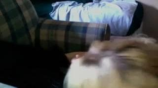 Potwierdź swoją pełnoletność