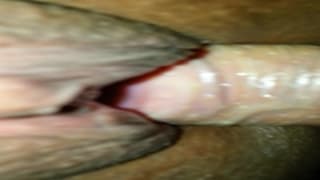 Ta czarna pizda dostanie białego kutasa!