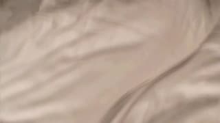 Potwierdź swoją pełnoletność