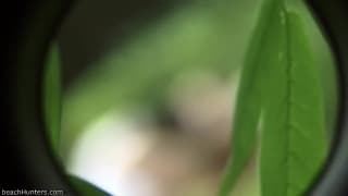 Potwierdź swoją pełnoletność