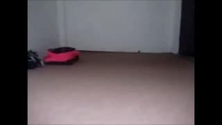 Potwierdź swoją pełnoletność