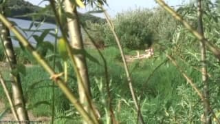 Potwierdź swoją pełnoletność