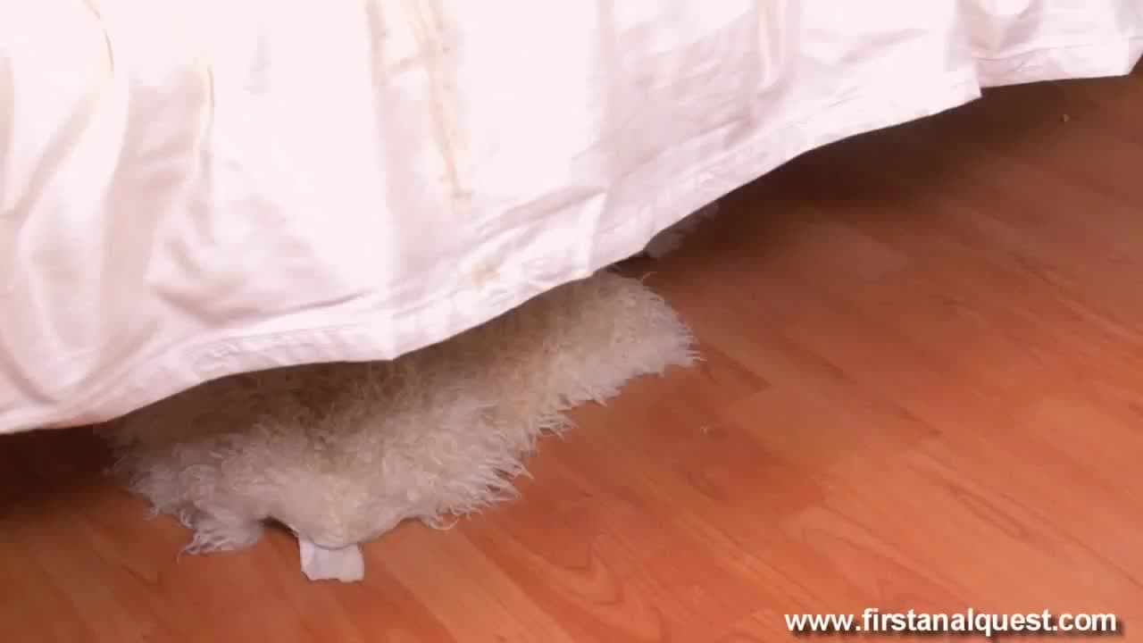 Potwierdź swoją pełnoletność