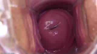 Adriana pokaże ci wszystko bardzo dokładnie