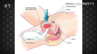 Trener seksu lubi takie seksowne gierki i nauki