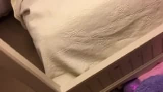 Potwierdź swoją pełnoletność