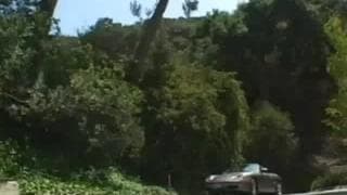 Potwierdź swoją pełnoletność