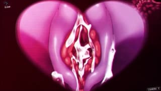 Hentai zostanie zerżnięta przez różowego obcego Hentai zostanie zerżnięta przez różowego obcego