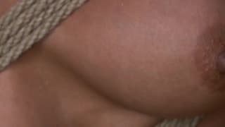 Potwierdź swoją pełnoletność