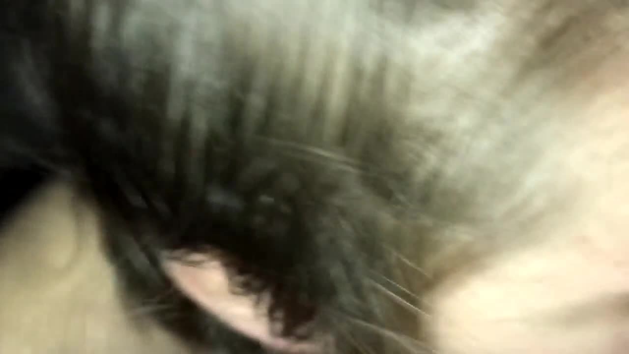 Potwierdź swoją pełnoletność