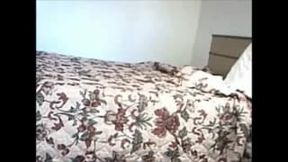 Potwierdź swoją pełnoletność