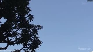 Potwierdź swoją pełnoletność