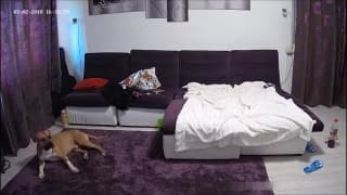 Potwierdź swoją pełnoletność
