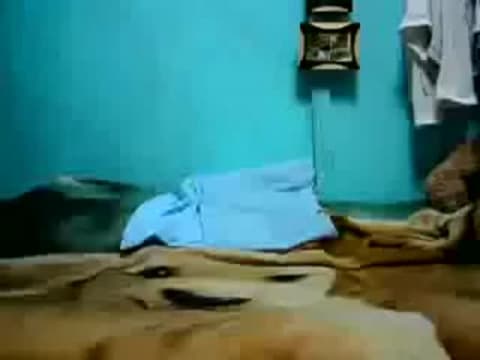 Potwierdź swoją pełnoletność