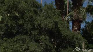 Potwierdź swoją pełnoletność