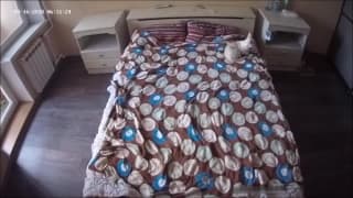 Potwierdź swoją pełnoletność