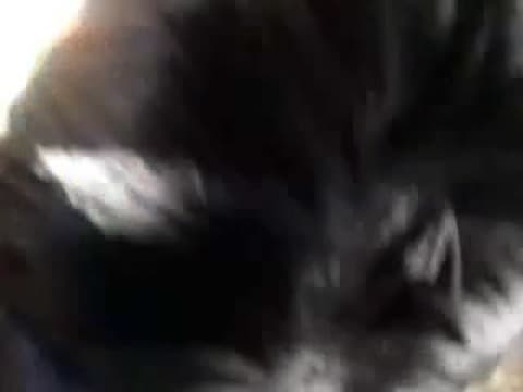 Potwierdź swoją pełnoletność