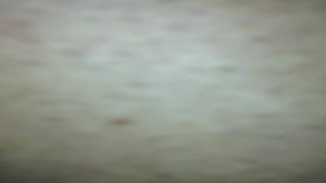 Potwierdź swoją pełnoletność