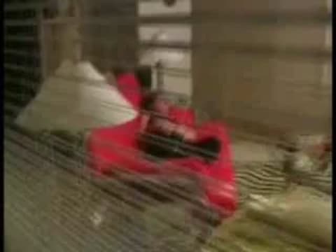 Potwierdź swoją pełnoletność